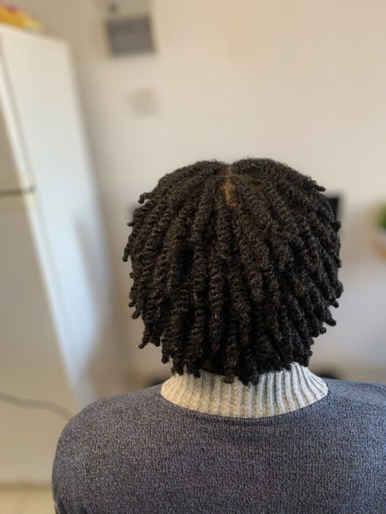 Black medium-length hair styled in small, tight twists seen from the back.